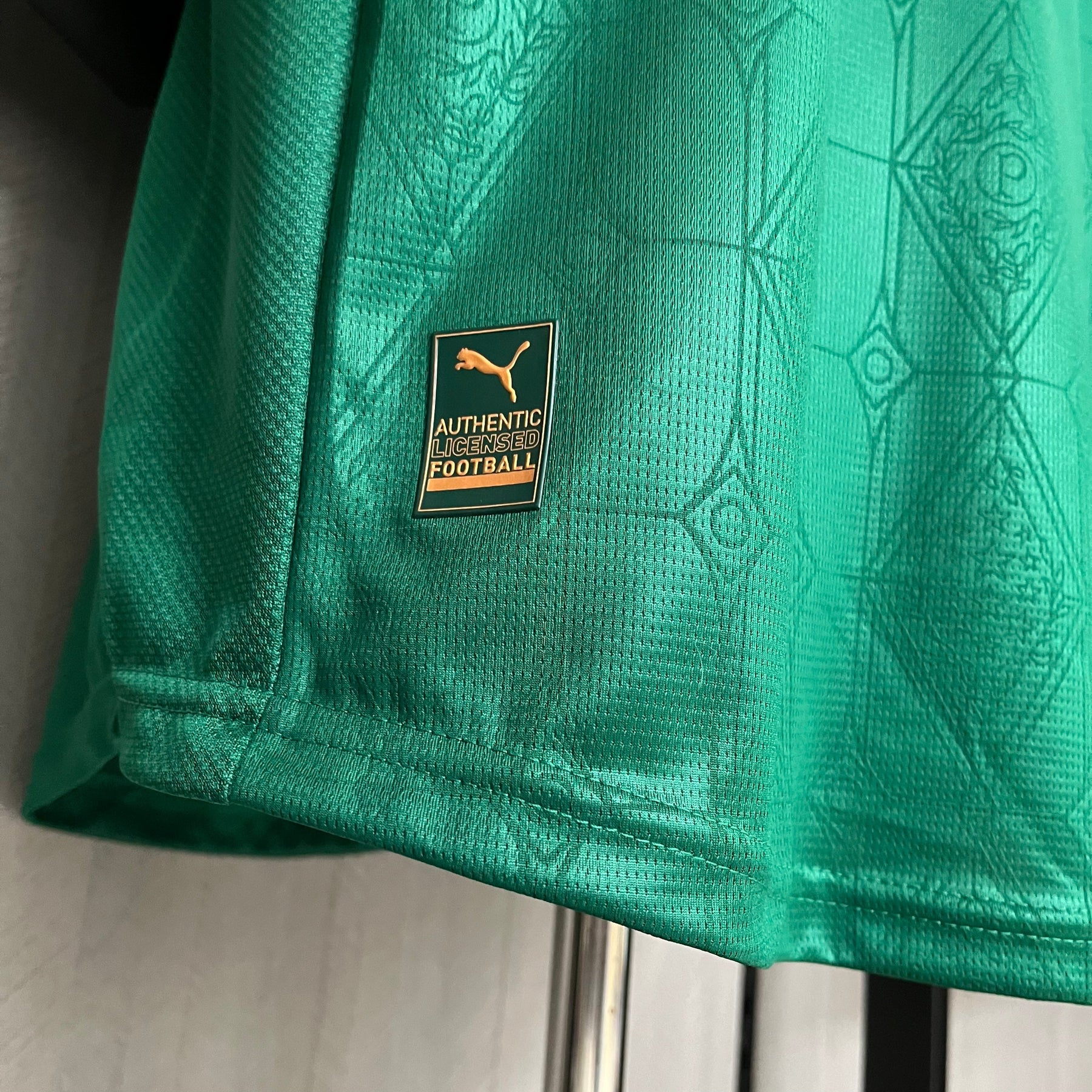 Camisa Palmeiras Titular 25/26 - Versão Jogador - Lançamento