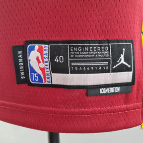 Camisa NBA Miami Heat #3 Wade - 75° Aniversário Red