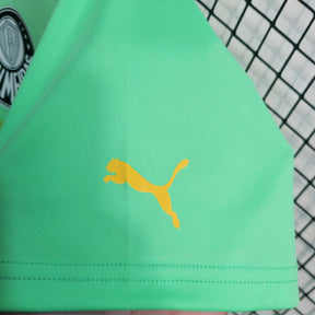 Camisa Palmeiras 23/24 - Puma Torcedor Masculina