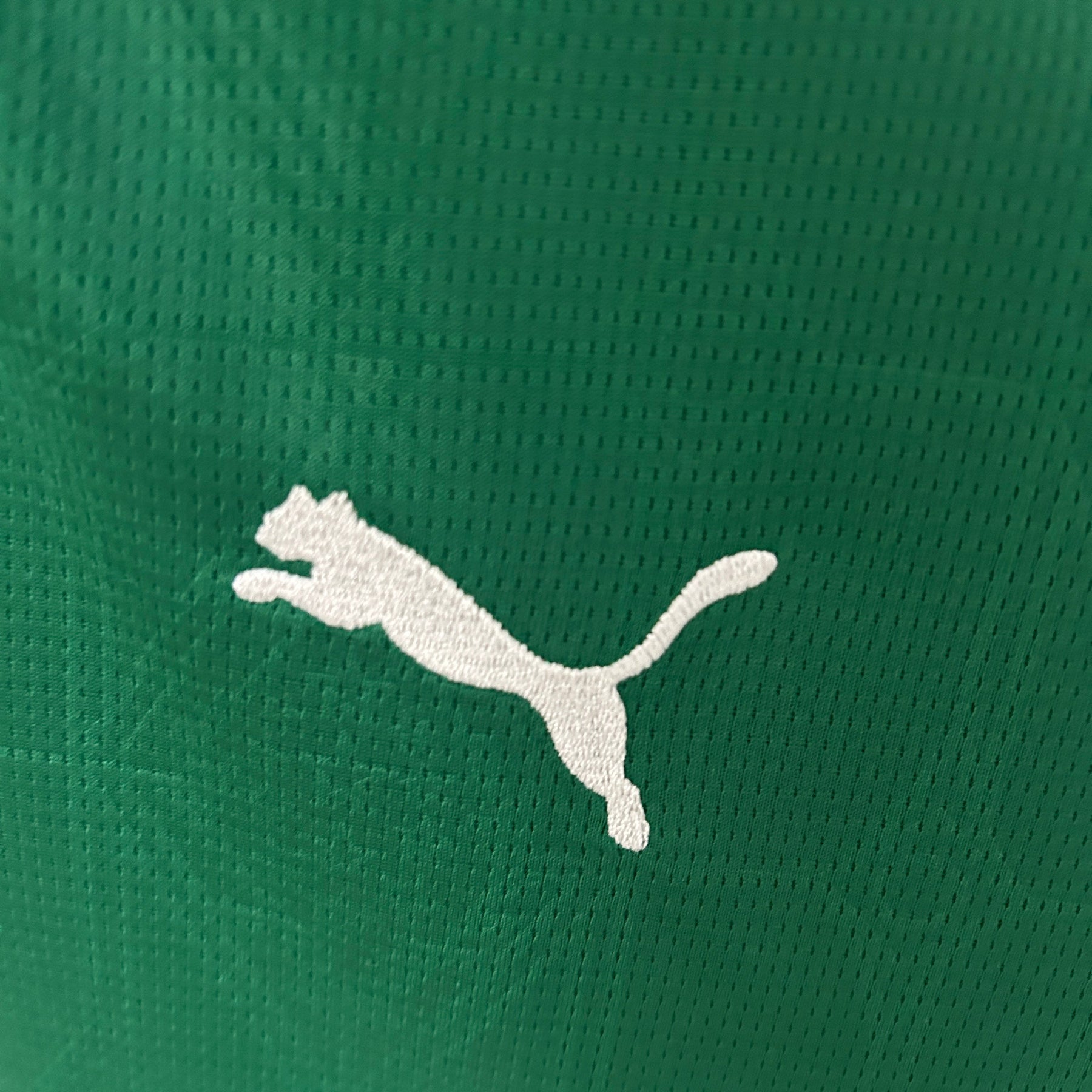 Camisa Palmeiras Home Titular 25/26 - Feminina - Lançamento