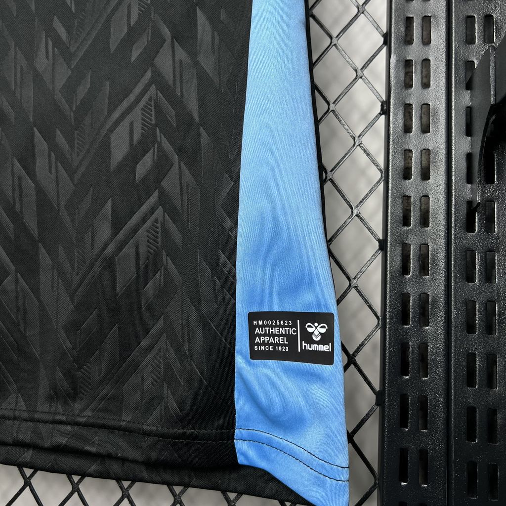 Camisa Werder Bremen lll 24/25 - Torcedor Masculina